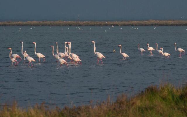 Cervia Marina Suite