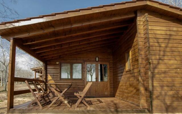 Ecologic Vinyols Camp