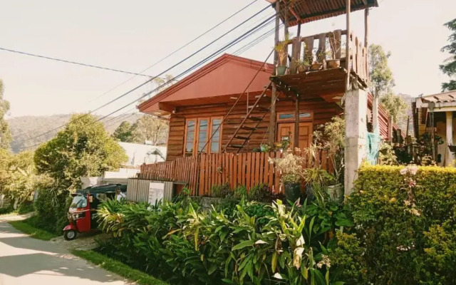 20/20 wood cabana