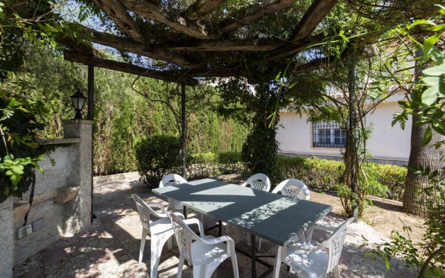 Villa Del Mamut