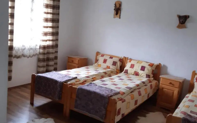 Casa de Vacanta Joldes