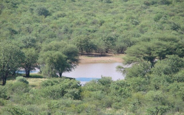 Onduri Lodge - In Okaukuejo