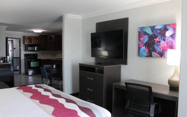 Best Western Medical Center North Inn & Suites Near Six Flags