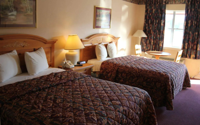 Lakeside Inn & Suites by OYO Mathis I 37