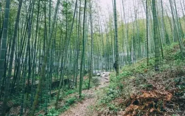 Tianzhu Huaxi Vally B&B