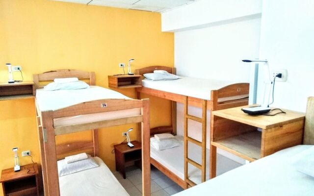 The Amazon Within Hostel