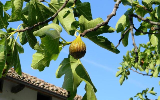 Residenza Cà d´Masseu