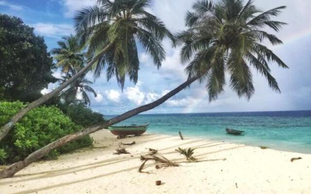 Island Host