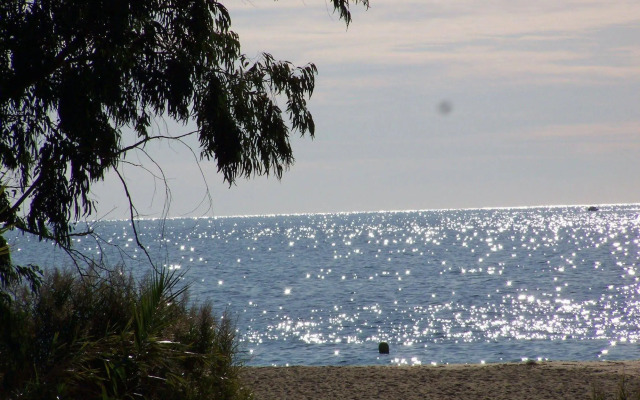 Le clos des sept palmiers