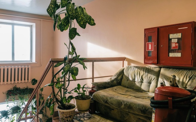 ЭкоСтройСервис