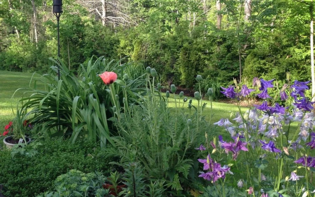 The Muskoka Rose Guest House & Retreat