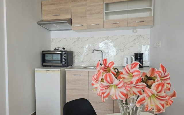 Akteon Rooms