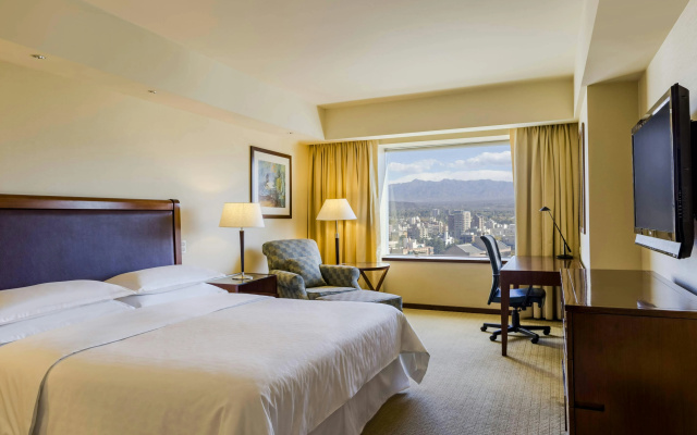 Sheraton Mendoza Hotel - Image 7
