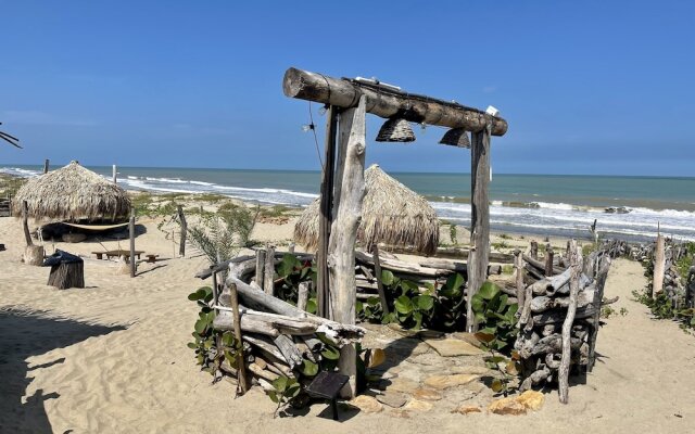 Ecoxata - Adults Only