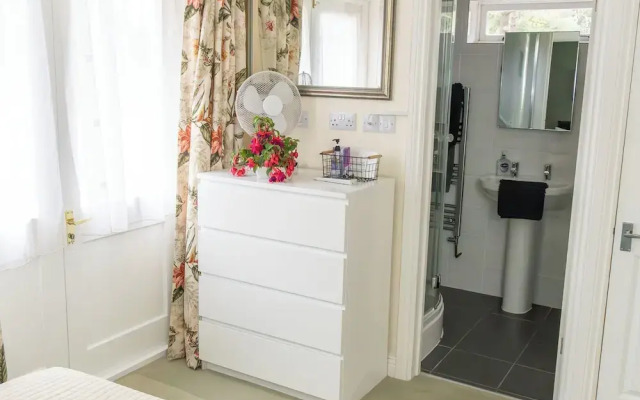 Tranquil Forest Retreat in Brockenhurst