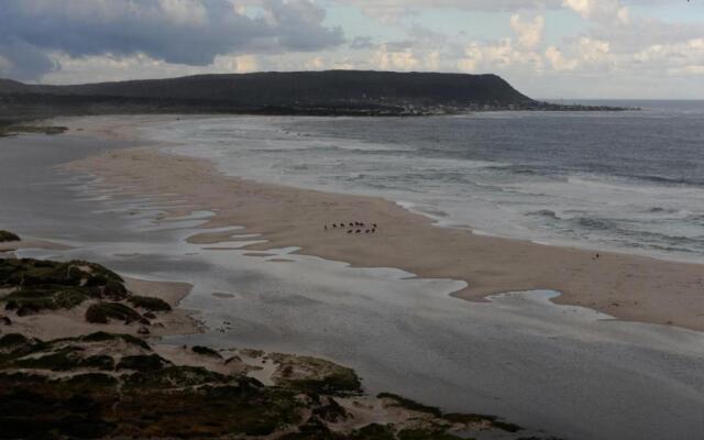 Monkey Valley Resort