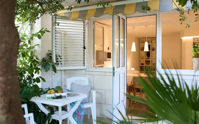 Hedera Estate, Hedera Studio 6