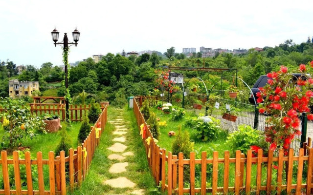 Zahi Bungalov
