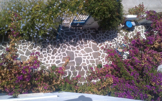 Pelagos Studios