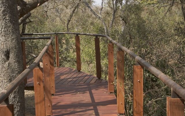 The River Lodge At Thornybush