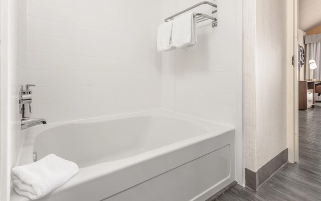 Holiday Inn Hotel & Suites Springfield - I-44 by IHG