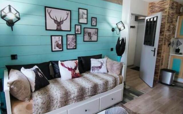 Superbe T2, à 100 mètres des pistes, piscine d'été