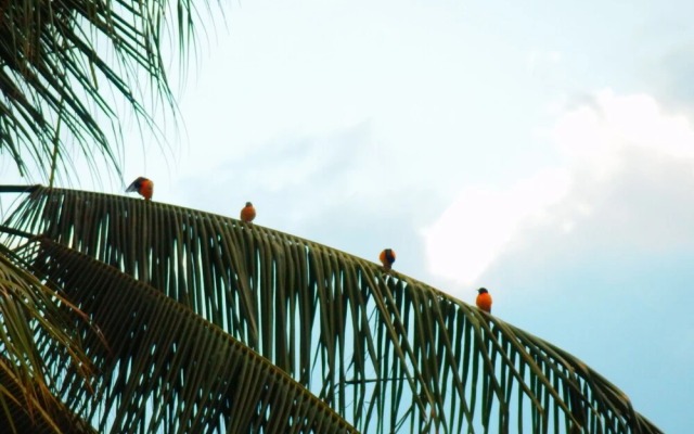 Hotel El Jardin