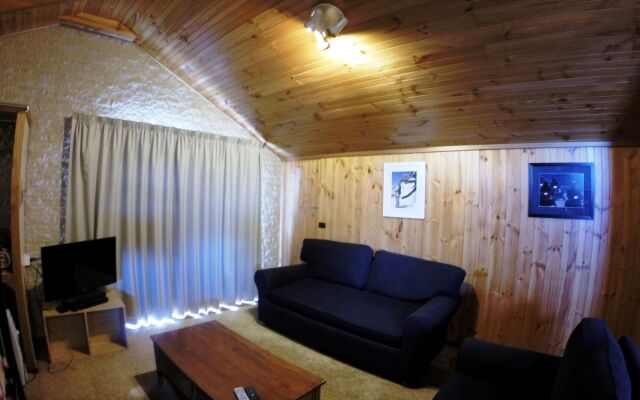 Alpine Retreat Mt Buller