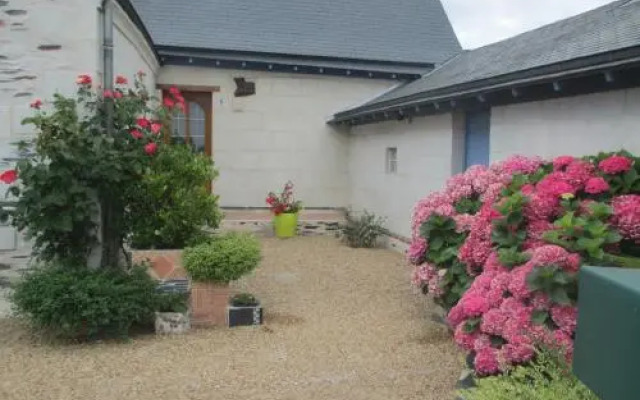 Les Palmiers à La Bohalle