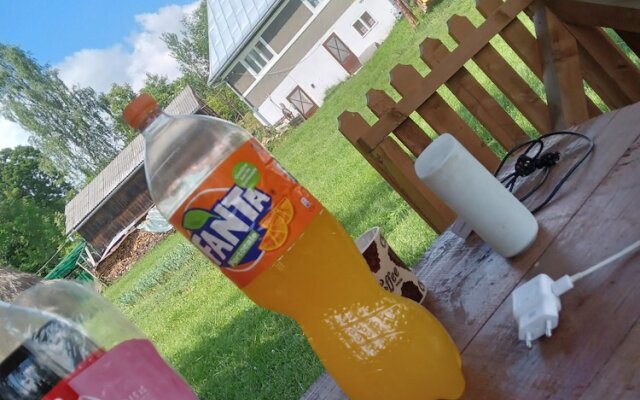 Room in Guest Room - Rural Holiday Transylvania