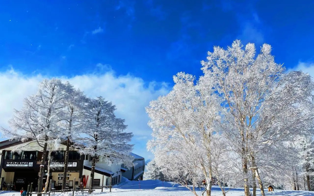 nozawasnow