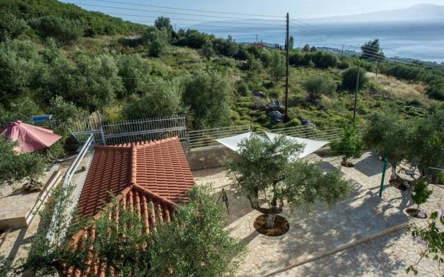 New Hope, studio with pool near the beach