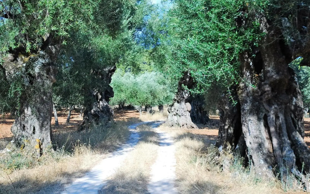 Villasabella