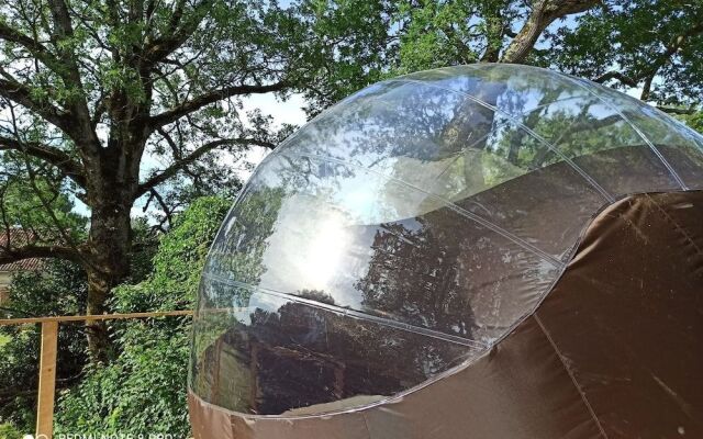 Les Bulles Perchées de Lartigue