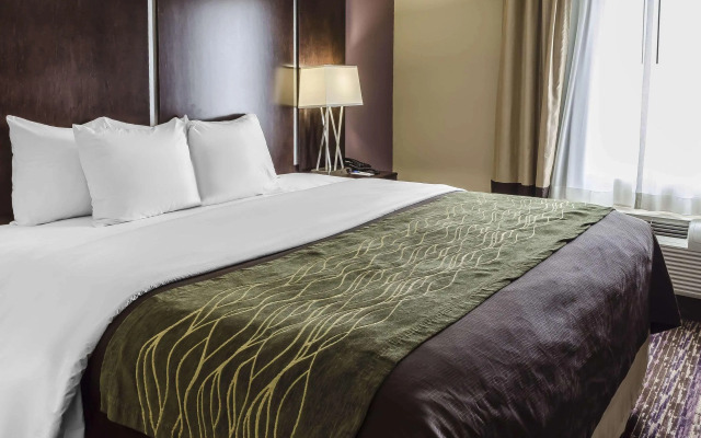 Comfort Inn & Suites Dothan East