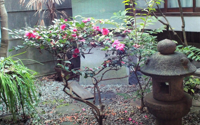 Deer Guesthouse - Hostel