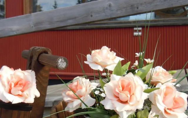 Wilderness Life in Arvidsjaur