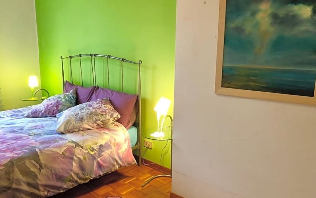 Le Ortensie di Via Rossetti