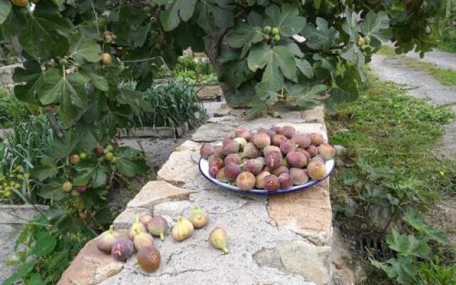 Las Azadas Alojamiento Rural