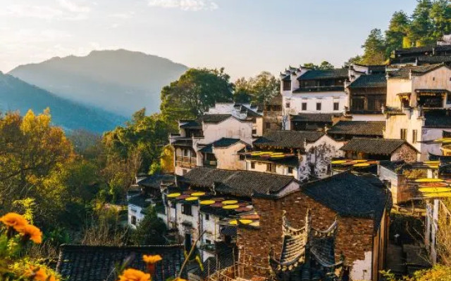 Wuyuan met the dawn bighead