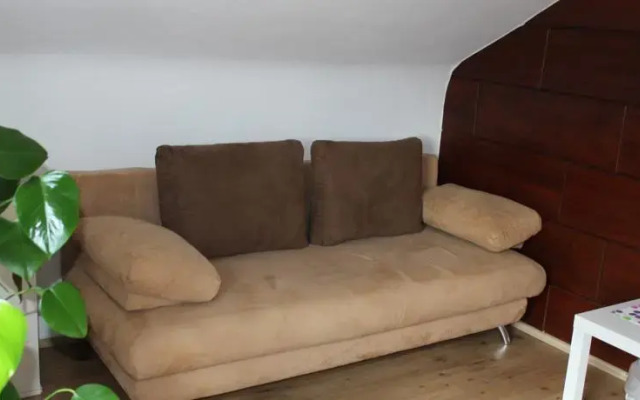 Zimmer David