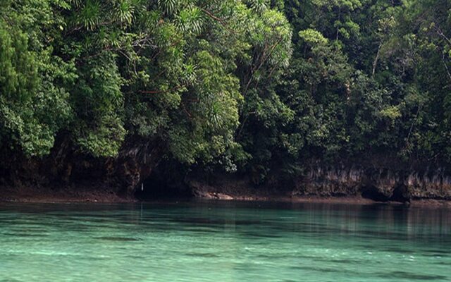 Tarzans Beach Resort