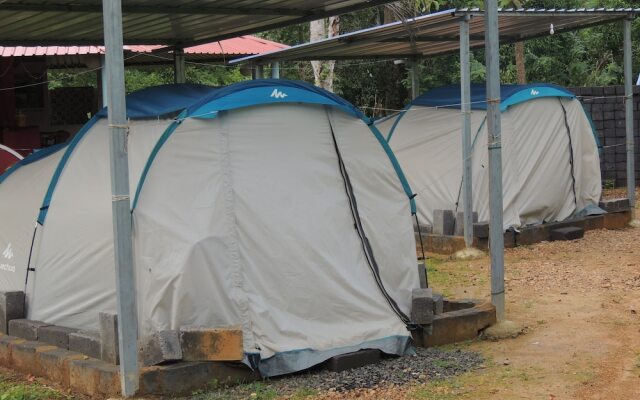 Jungle Nest Homestay