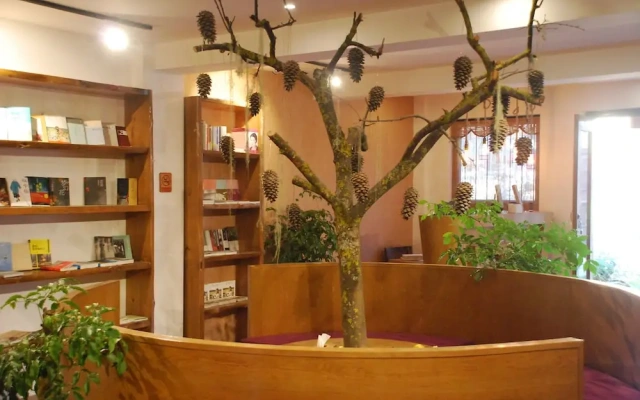 Lugu lake Life and Dream Cultural Inn