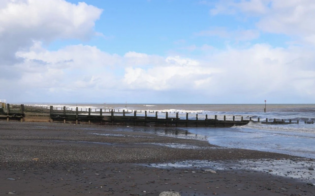 Driftwood