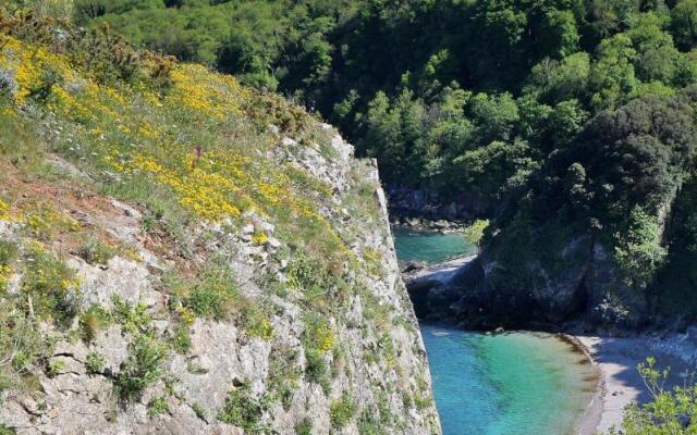 Lovely Period Cottage Sleeps 4 Resting in Torquay