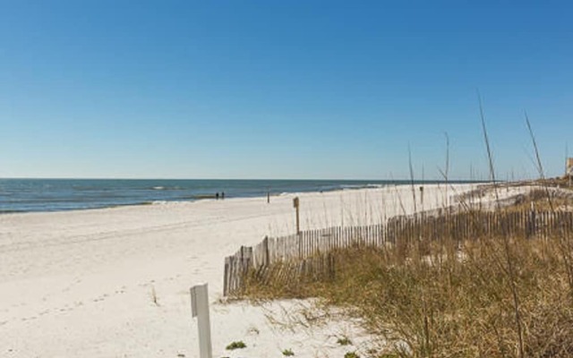 Crystal Tower 701 by Youngs Suncoast