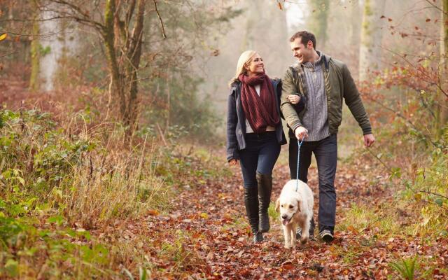 Relax Inn Westminster