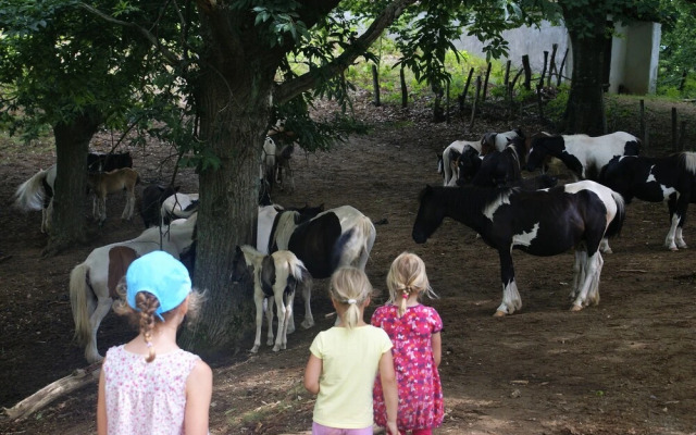 Appartement Arroka au BaskoParadis