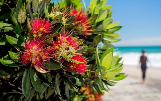 Tasman Holiday Parks – Beachaven